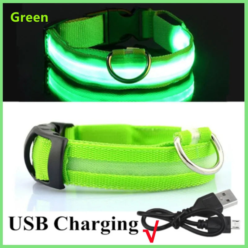 Collar Luminoso LED ZenWalk | Visibilidad y Seguridad Nocturna (USB)