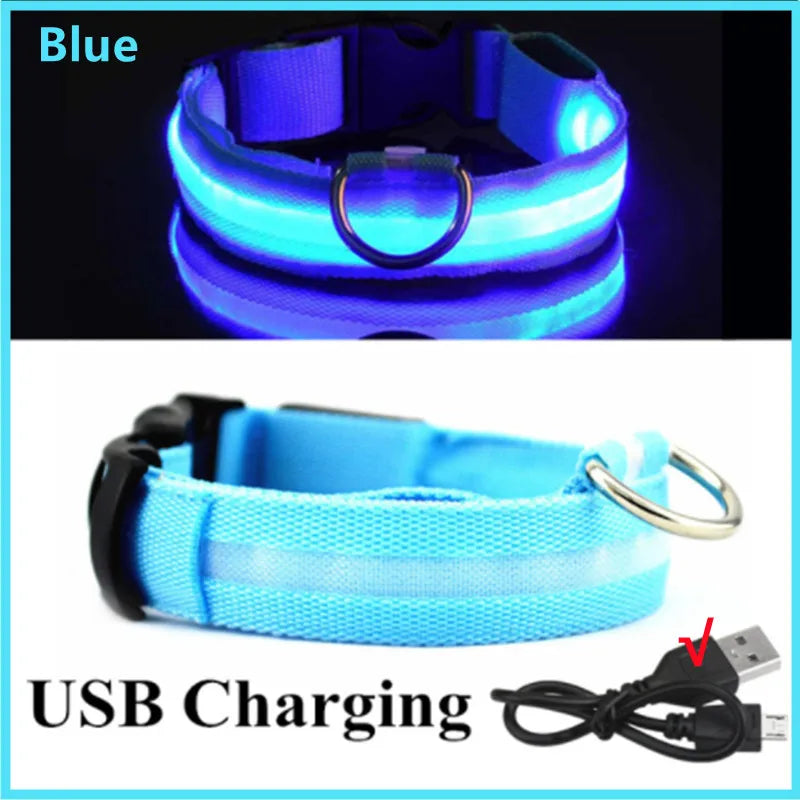 Collar Luminoso LED ZenWalk | Visibilidad y Seguridad Nocturna (USB)