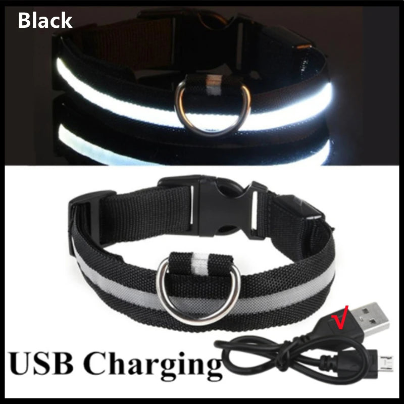 Collar Luminoso LED ZenWalk | Visibilidad y Seguridad Nocturna (USB)