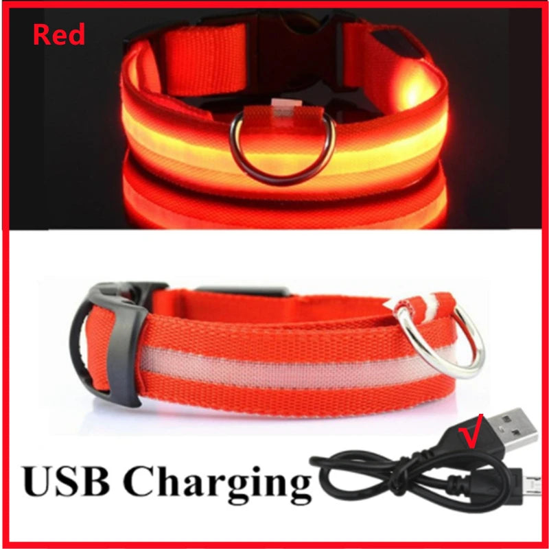 Collar Luminoso LED ZenWalk | Visibilidad y Seguridad Nocturna (USB)