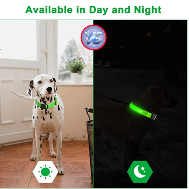 Collar Luminoso LED ZenWalk | Visibilidad y Seguridad Nocturna (USB)