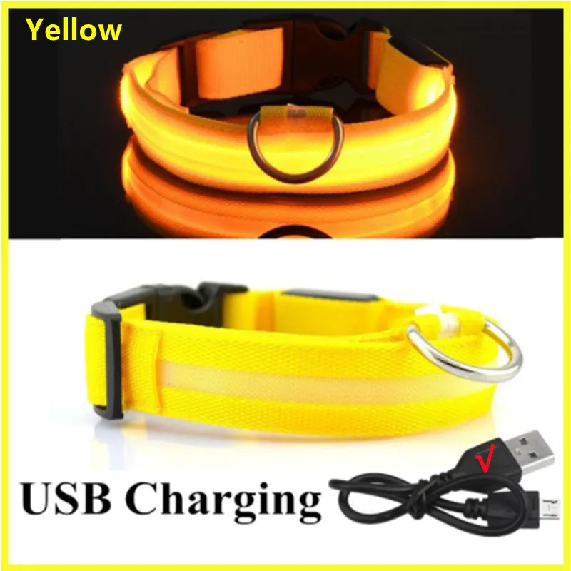 Collar Luminoso LED ZenWalk | Visibilidad y Seguridad Nocturna (USB)