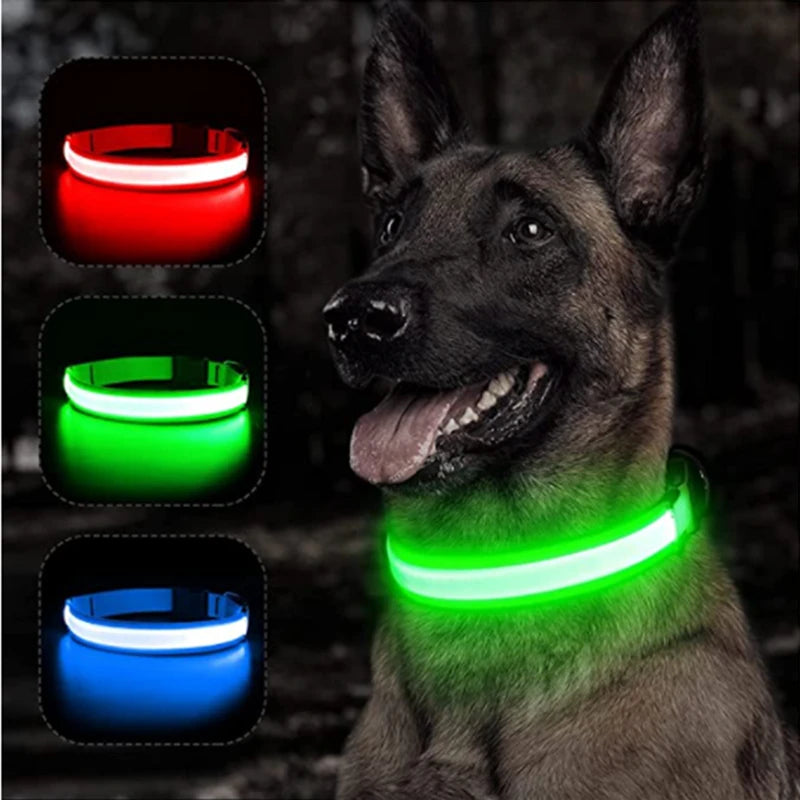 Collar Luminoso LED ZenWalk | Visibilidad y Seguridad Nocturna (USB)