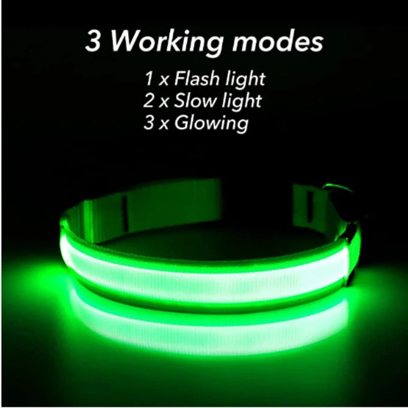 Collar Luminoso LED ZenWalk | Visibilidad y Seguridad Nocturna (USB)