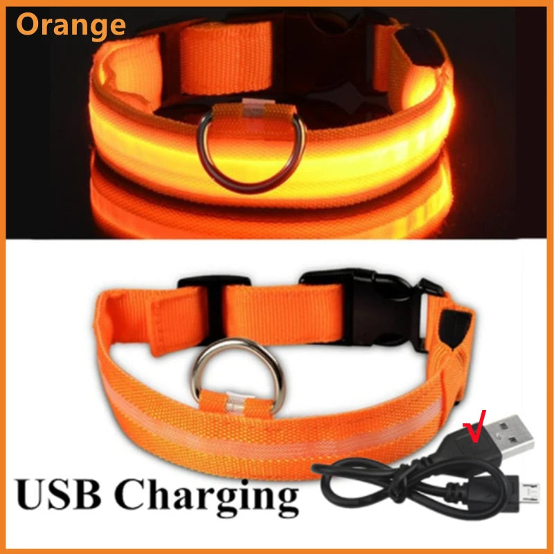 Collar Luminoso LED ZenWalk | Visibilidad y Seguridad Nocturna (USB)