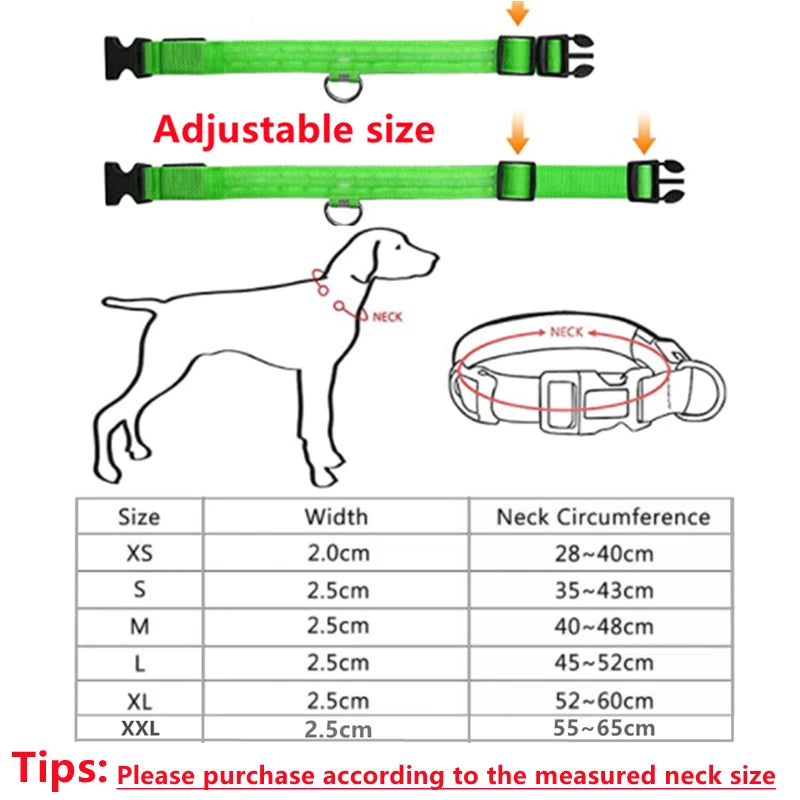 Collar Luminoso LED ZenWalk | Visibilidad y Seguridad Nocturna (USB)