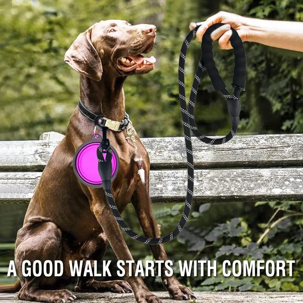 Correa de Paseo Anti-Tirones ZenWalk