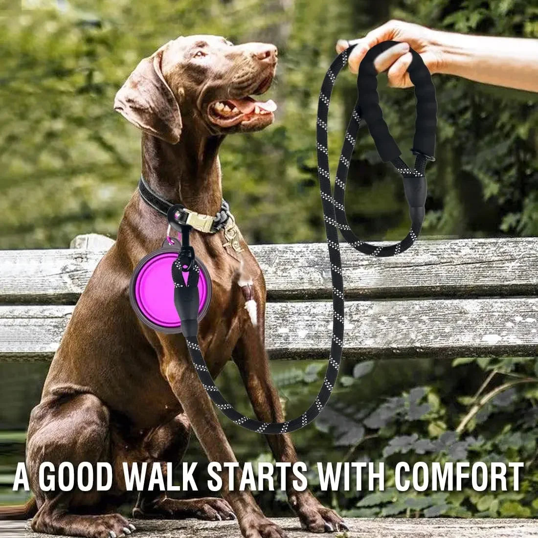 Correa de Paseo Anti-Tirones ZenWalk
